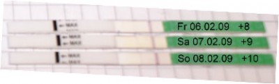 10er SST ES+8 bis ES+10 kann man die Linien sehen?