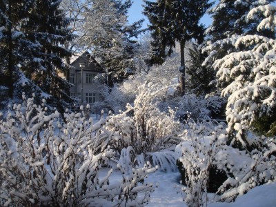 winter in berlin 2.jpg