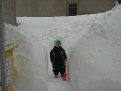 Tobi im Garten im Schnee!.JPG