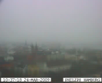 24.03.09_2.jpg