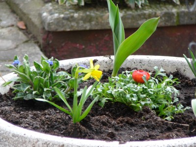 Fruehling2.jpg