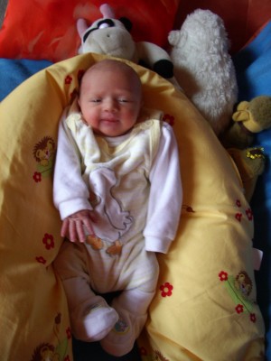 IMG00040.JPG