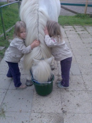 Bild028.jpg