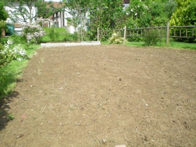 DSCN1990.JPG
