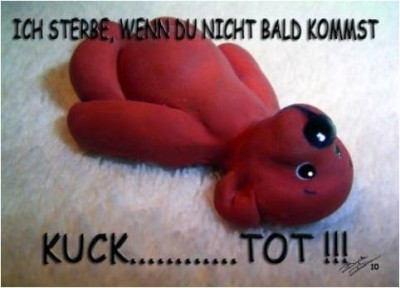 Bär.jpg