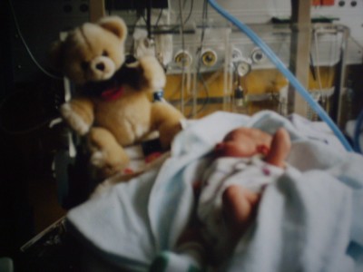 Baby Vanessa -gerade mal 1 Tag alt und noch im Brutkasten.