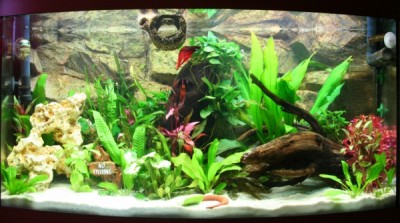 Bitte mal eure Meinungen dazu, so würde mir das gefallen.