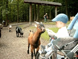 Die Ziegen sind ganz schön neugierig :-)