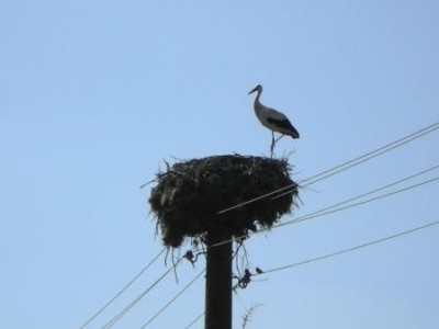 DSCN2412.JPG