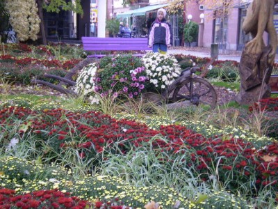 25.10. - Chrysamthema 017.jpg