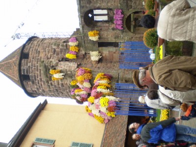 25.10. - Chrysamthema 032.jpg