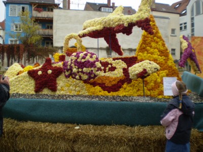 25.10. - Chrysamthema 052.jpg