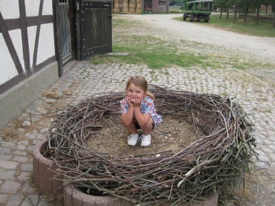 Storchenküken
