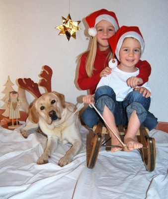 Frohe Weihnachten!!!!!!!!!!!!!!!!