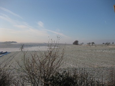 IMG_0527~1.JPG