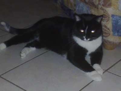 25022009786.jpg