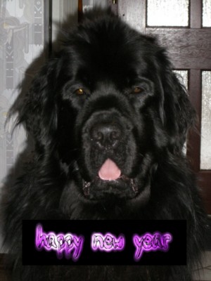 Happy new Year!.jpg