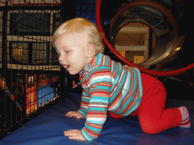 DSC04618.gif