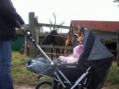 Bilder 055.jpg