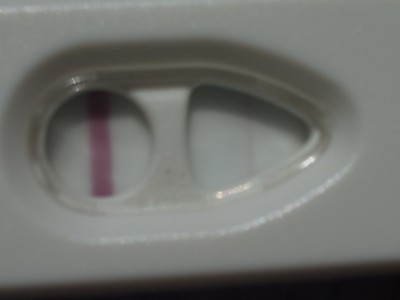 IMGP0031.JPG