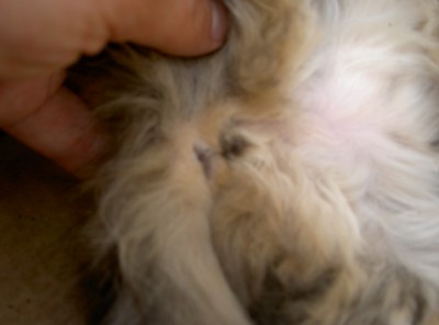 PICT1001.JPG