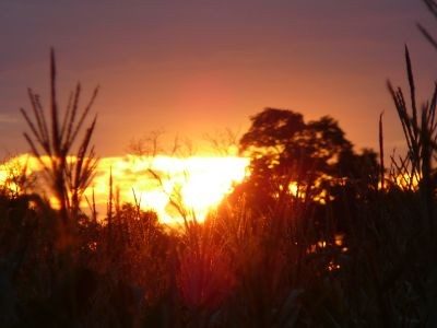 sonnenuntergang.jpg