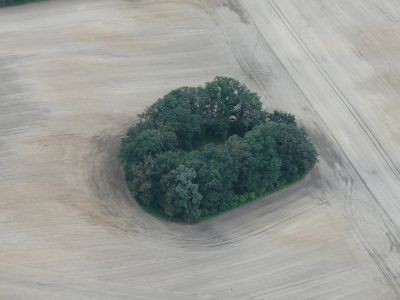 waldfleck.jpg
