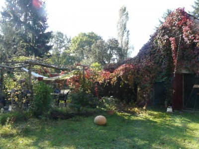 herbstbild.jpg