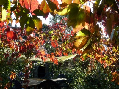 herbstbild2.jpg