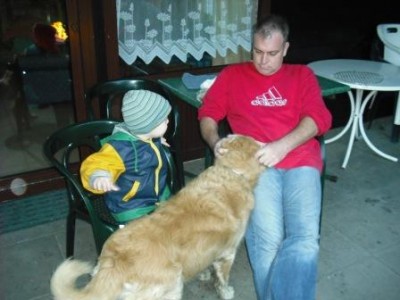 Schloß Dankern 2010 040.jpg klein putz.jpg