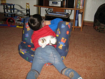 Krümel beim Nickerchen auf Tobi.JPG