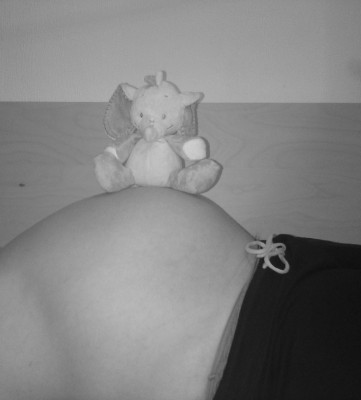 Bauchbild 30. SSW.jpg