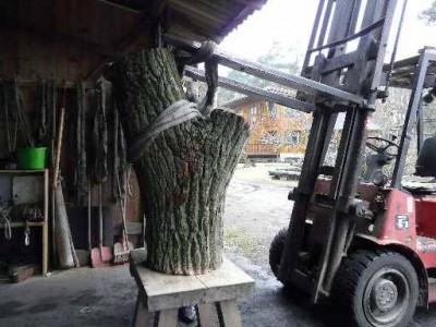 so sah der schöne Pappel-Baum ,-)