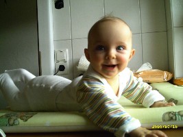Bild 539.jpg