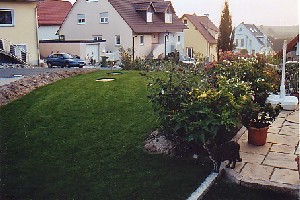 Rasen fertig.jpg