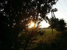 Ist das nicht schön?