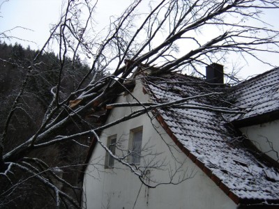 DSC00098.JPG