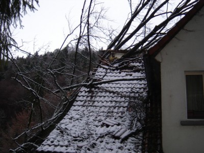 DSC00096.JPG