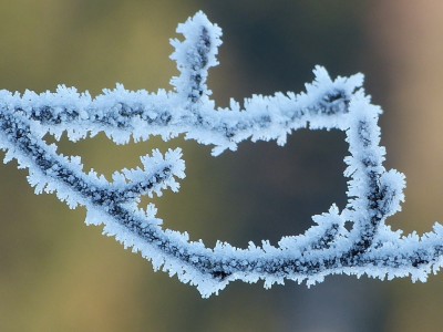 winterimpressionen.jpg
