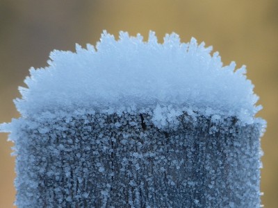 winterspaziergang.jpg