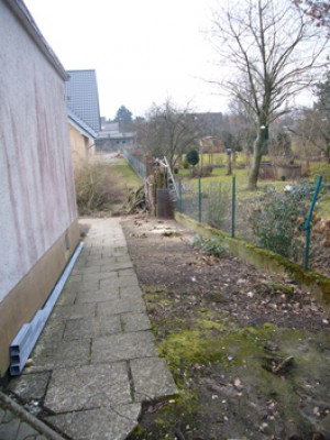 Bäume weg für die Zufahrt.jpg