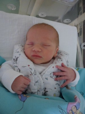 SAM_0600.JPG