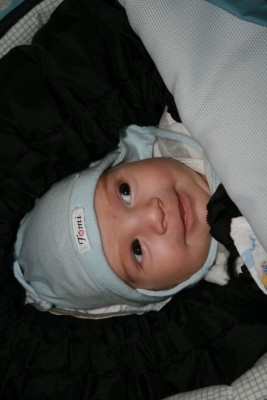 IMG_8071klein.jpg