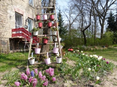garten 1.jpg