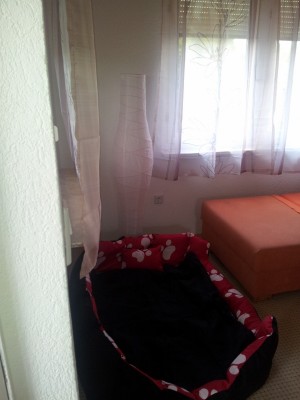 20120422_140026 (600x800).jpg