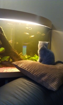 IMAG0157.jpg