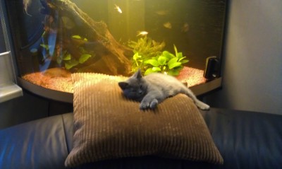 IMAG0165.jpg