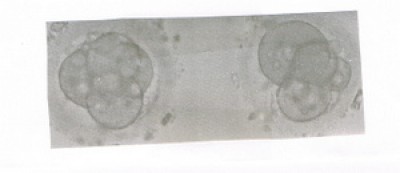 1-CCI02082012_00000.bmp-002.jpg