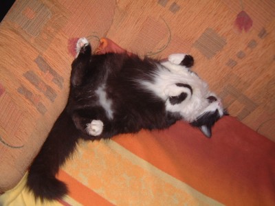 DSCF0837.JPG