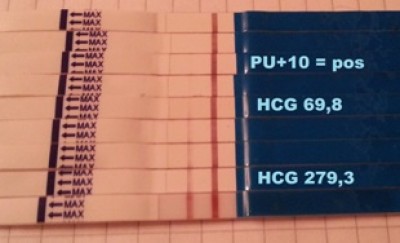 Nach 10 Minuten 4 15%.jpg